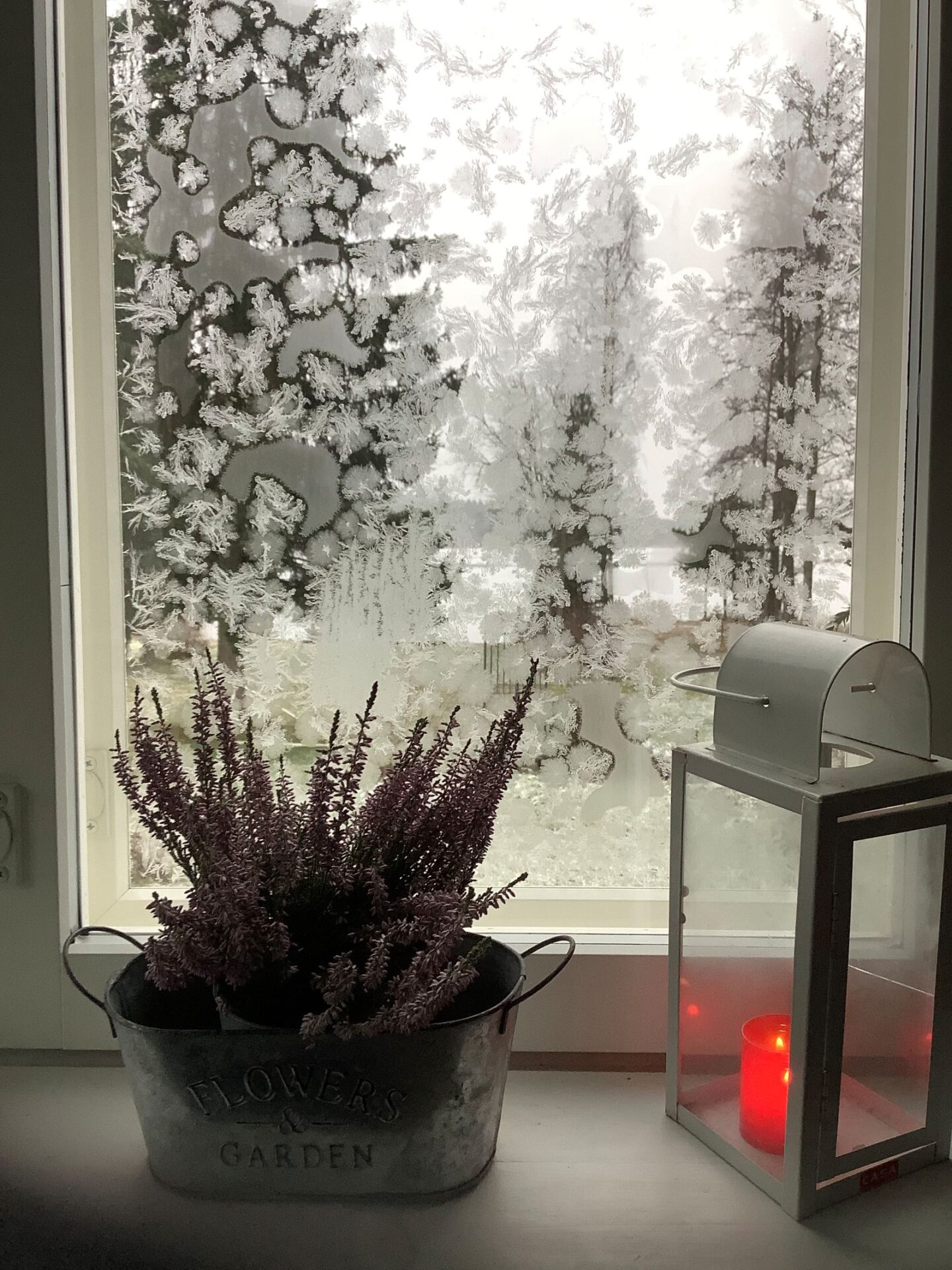 Talvinen näkymä ikkunasta, johon piirtynyt kauniita kuurankukkia